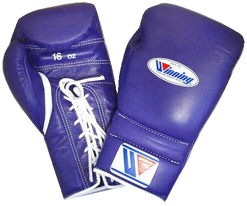 Christmas gifts WINNING boxing glove gymstero