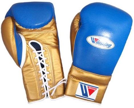 Christmas gifts WINNING boxing glove gymstero