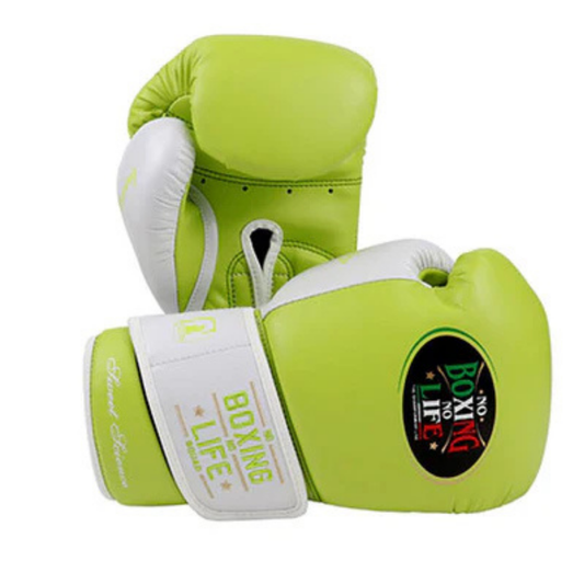 No Boxing No Life Gear - For the Dedicated Fighter"

