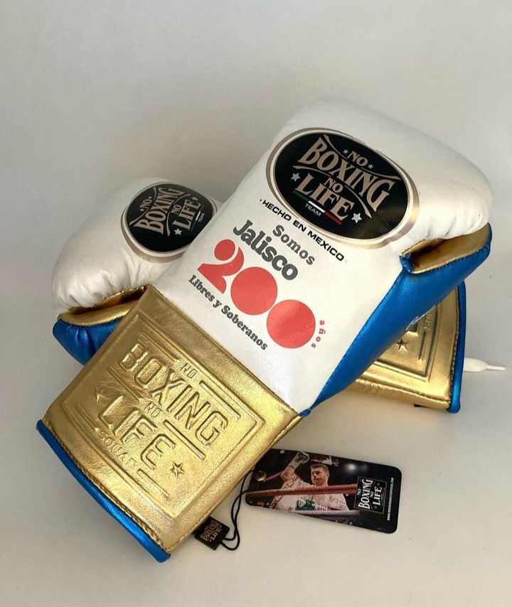 "NBNL Boxing Gloves - Premium Quality for Champions"