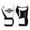 Hardfighter Boxing Glove