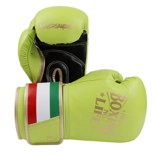 No Boxing No Life Gear - For the Dedicated Fighter"
